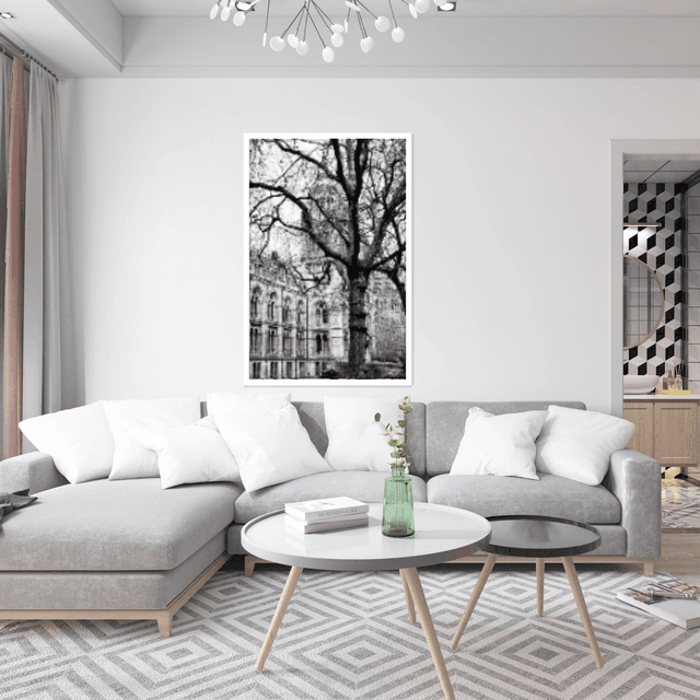 Cleverson Montanha - Árvore em plano