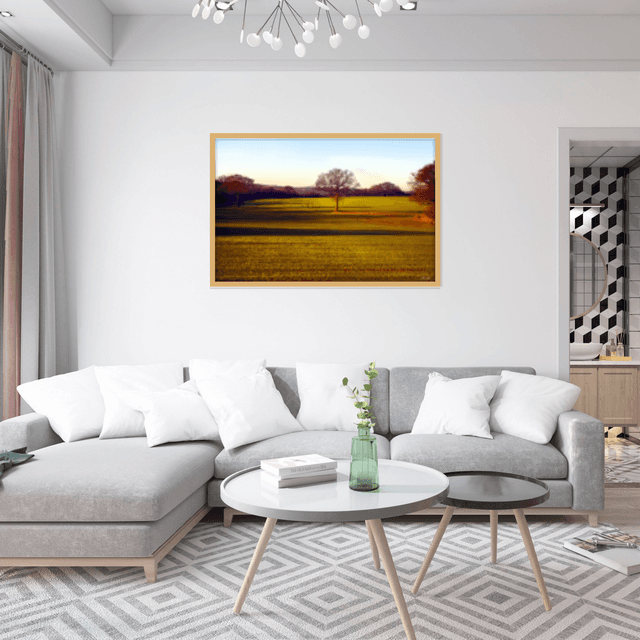 Cleverson Montanha - O campo