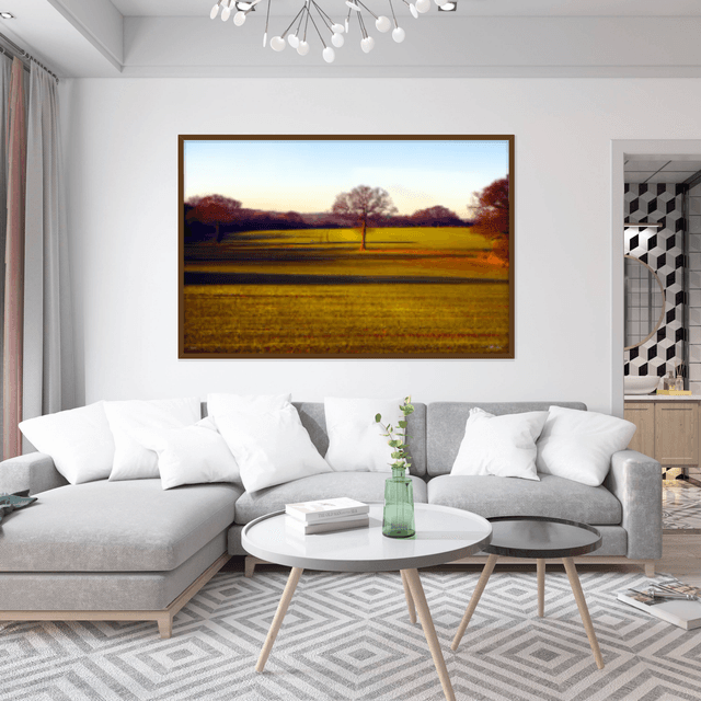 Cleverson Montanha - O campo