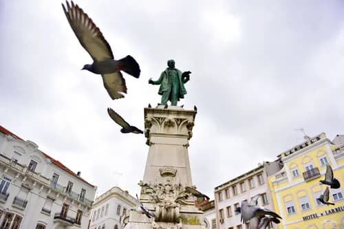 Cleverson Montanha - Estátua e pássaros